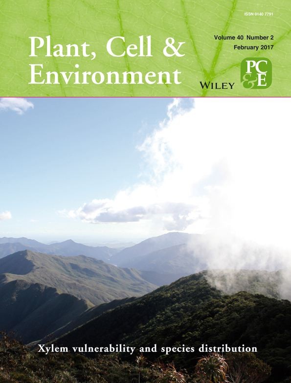 Plant Soil西南大學(xué)：NMT發(fā)現(xiàn)鎂通過(guò)調(diào)節(jié)IAA極性運(yùn)輸促根冠微區(qū)堿化緩解楊樹鋁毒