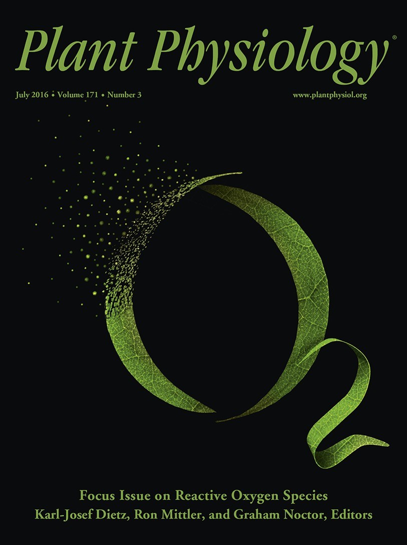 Plant Physiol ：山東大學(xué)、山東省農(nóng)科院丨線粒體丙酮酸載體調(diào)控植物耐鎘的機(jī)理（附NMT實(shí)驗(yàn)體系）