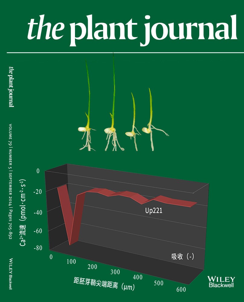 NMT鈣流為水稻OsCBL10啟動(dòng)子變異影響種子耐淹力提供證據(jù)