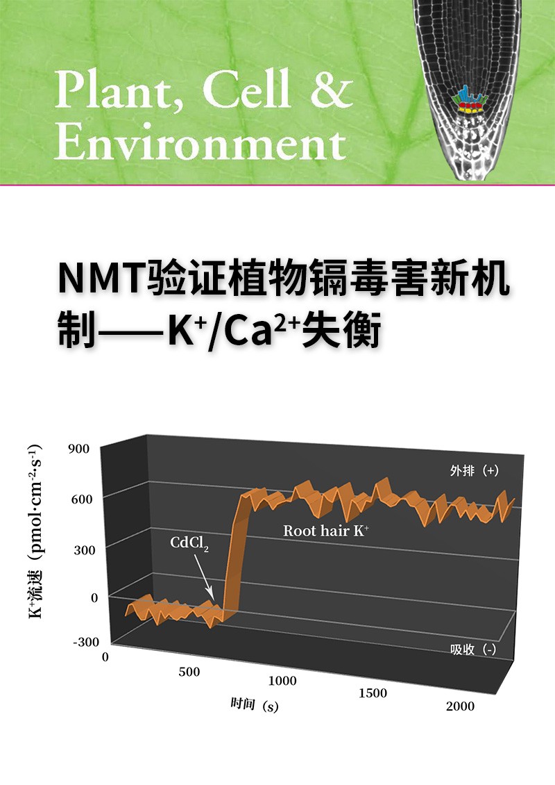 NMT驗(yàn)證植物鎘毒害新機(jī)制——K+/Ca2+失衡
