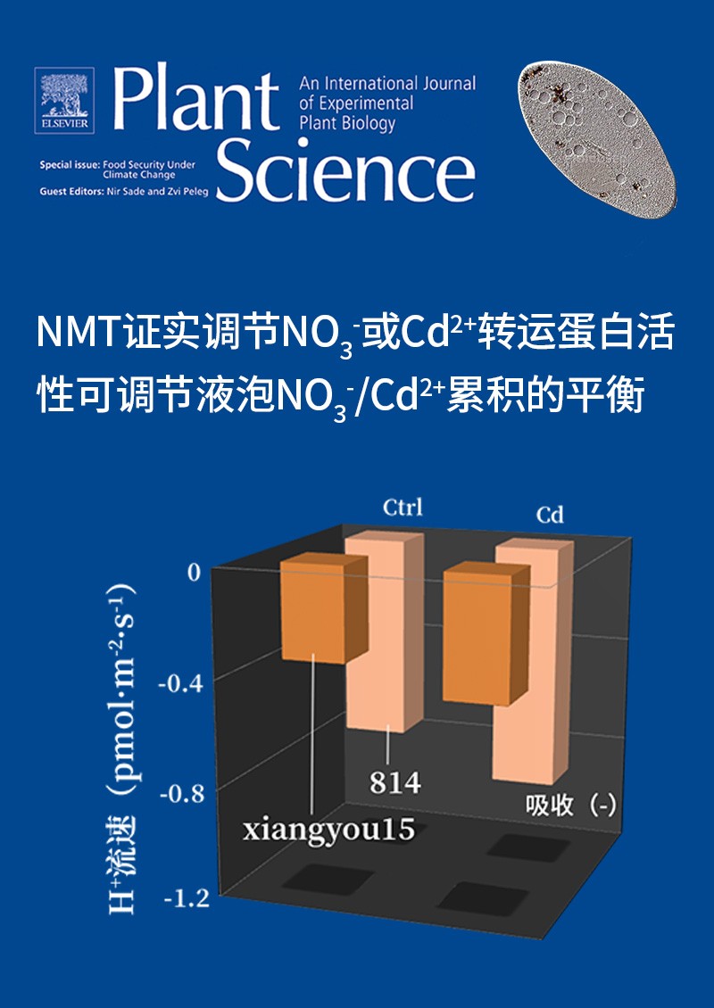 NMT證實調(diào)節(jié)NO3-或Cd2+轉(zhuǎn)運(yùn)蛋白活性可調(diào)節(jié)液泡NO3-/ Cd2+累積的平衡