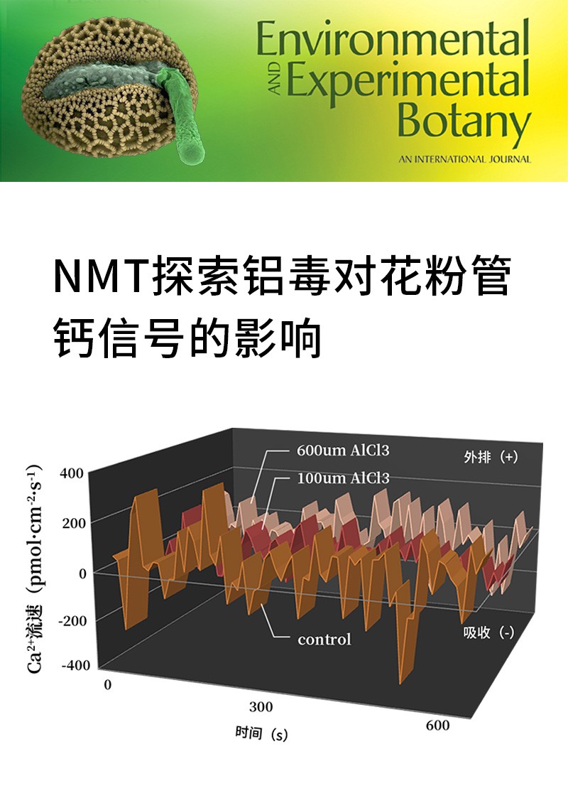 NMT探索鋁毒對(duì)花粉管鈣信號(hào)的影響