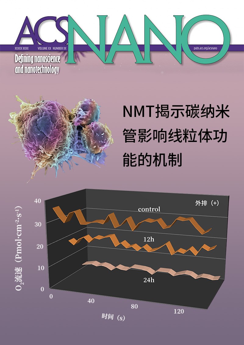 NMT揭示碳納米管影響線粒體功能的機(jī)制
