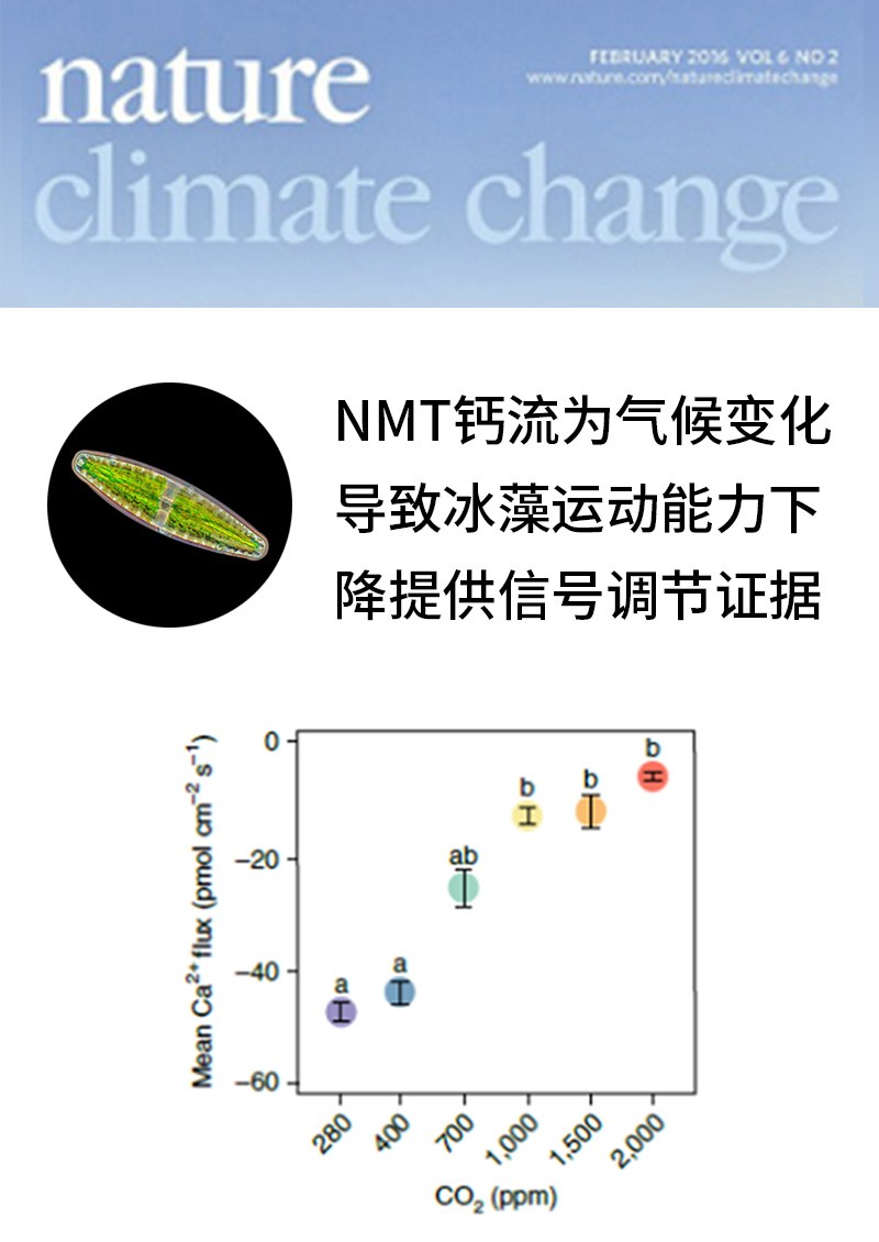 NMT鈣流為氣候變化導(dǎo)致冰藻運(yùn)動能力下降提供信號調(diào)節(jié)證據(jù)