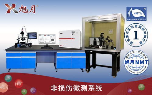 非損傷微測系統(tǒng)(NMT)