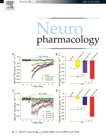 非損傷微測(cè)技術(shù)實(shí)時(shí)檢測(cè)海馬腦片跨膜鈣離子流
